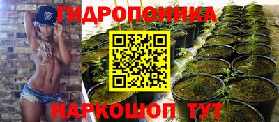 стафф Можга