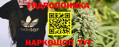 Альфа ПВП Можайск