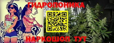 стафф Можга