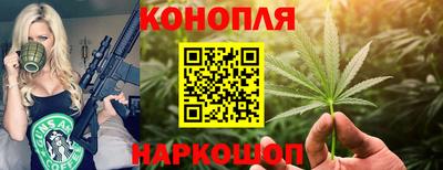 стафф Можга