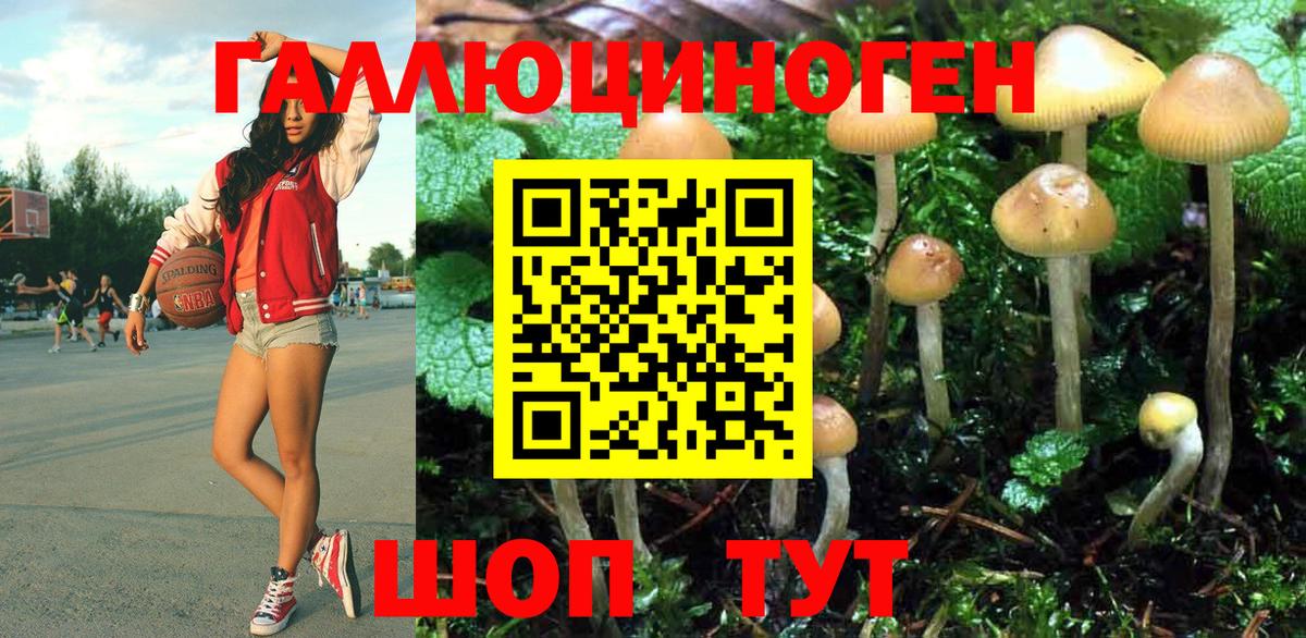 Ялуторовск  купить закладку  Вход с VPN  Псилоцибиновые грибы Psilocybine cubensis 