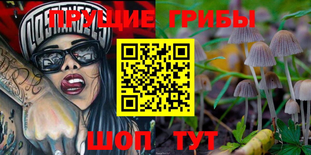 Псилоцибиновые грибы Psilocybine cubensis Ялуторовск